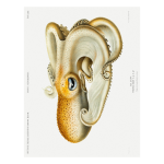 Ocean 16 Art Print