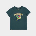 Springbok Forever Green Wine Cooler 750ML Green