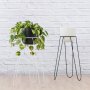 Hairpin Plant Stand - Black - Black Stand With White Moon Planter Excl. Plant