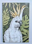 Parrot With Delicious Monster Wall Hanging – 122X88CM