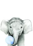 Bubble Gum Elephant Blue - Canvas Print - 600MM X 600MM