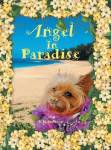 Angel In Paradise