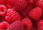 Raspberry Concentrate - 10ML