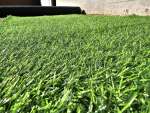 Artificial Grass 25MM