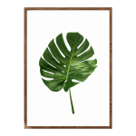 Delicious Monster Leaf I - A3