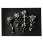 Monochrome Pins 6 Art Print - A1 No Frame Print Only
