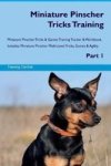 Miniature Pinscher Tricks Training Miniature Pinscher Tricks & Games Training Tracker & Workbook. Includes: Miniature Pinscher M