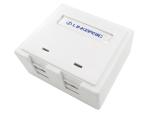 Linkbasic CAT6A Double Surface Mount Box