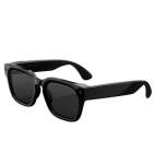 Glasses Fury Standard Classic Black polarized Grey