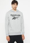 Reebok Ri Big Stacked Logo Hoodie - Grey