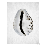 Spring Tide 1 Art Print - A2
