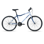 Avalanche Charge 10 2025 - L