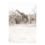 Reach Art Print - Premium Stretched Canvas / A3