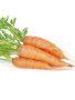Carrot Amsterdam Seed - 5 G Raw Seed