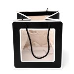 Gift Transparent SF23M-13 Artistic
