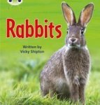 Bug Club Phonics Bug Non-fiction Set 27 Rabbits Paperback