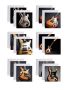 Gift Cards - Electric Guitars