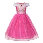 Sleeping Beauty Aurora Costume
