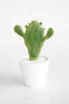 Flat Cactus In Pot – 24X24CM