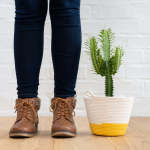 African Milk Tree - In Yellow Block Cotton Cord Planter