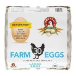 Top Lay Large Eggs 30 Pack