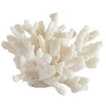 Classic Coral Decor Object
