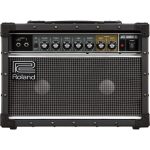 Roland Jazz Chorus JC-22 : 30W 2 X 6.5 Combo Amplifier