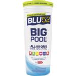 Big Pool All-in-one 580-6001