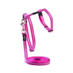 Rogz Alleycat Kitten & Cat Harness & Lead - X Small Pink