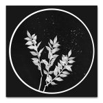 B&w Rounds 2 Art Print - 30 X 30CM Framed Canvas With Natural Wood Frame