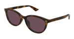 Gucci Sunglasses Womens In Havana Violet GG1818SK-002 - Havana Onesize