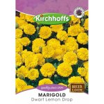 Kirchhoff’s Picture Packet Flower Seeds Marigold Dwarf Lemon Drop
