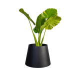 Conica Planter - Textured Black Large