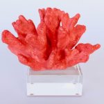 Red Coral On Glass Base 17X22X16CM