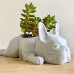 Small French Bulldog Plant Holder FBP1