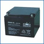 Power Kingdom PS26-12 12V26AH Battery