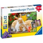- Guinea Pigs & Bunnies - 2 X 12PC Puzzles