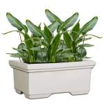 Nevada Trough Plant Pot - Large 300MM H X 420MM W X 700MM L Velvet