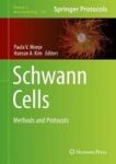 Schwann Cells - Methods And Protocols Hardcover 1ST Ed. 2018