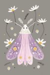 Floral Moth - Wall Art Print - A1