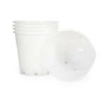 Orchid Plastic Pot Clear Large 18CM. - Large 18CM Top Dia 14CM Bottom Dia 17CM Height 2400ML. Bulk Purchase 5PC . Slotted Holes