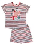 Adult Christmas Festive Stripes Pyjamas Set