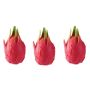 3PCS Realistic Dragon Fruit Squishy Fruit Stress Relief Squeeze Toys