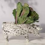 Pig Bowl Fruit Bowl - Gloss White Splatter