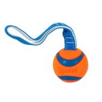 Chuckit Ultra Tug - Medium