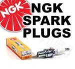 NGK Spark Plug