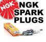 NGK Spark Plug