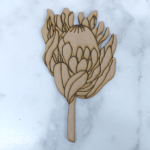 Wood Protea Closed