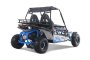 Tao 200CC Moto 200 Sport Buggie 4 Stroke - Teenagers + - Blue
