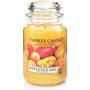 Yankee Candle Mango Peach Salsa Large Jar Retail Box No Warranty